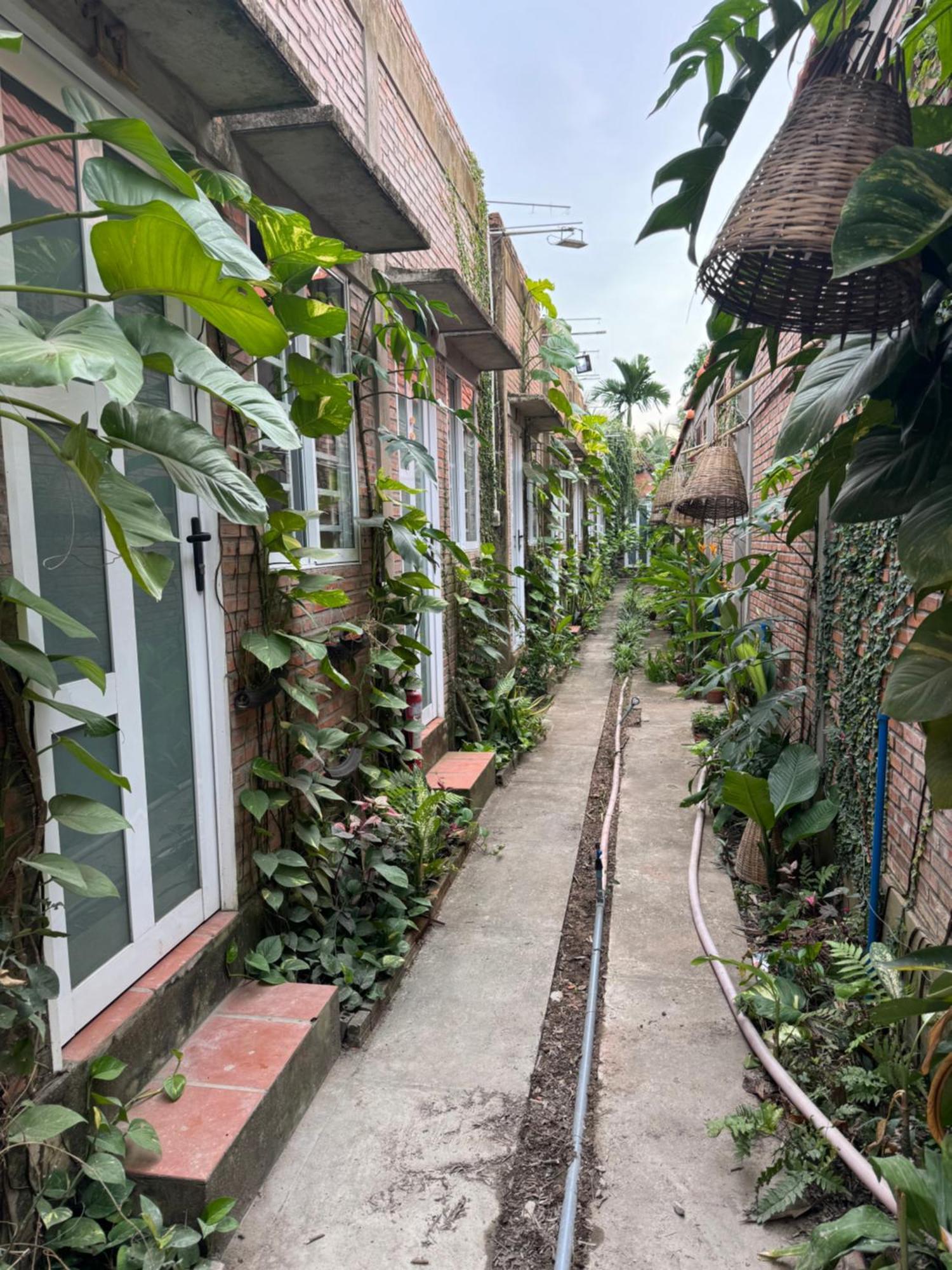 Bau Bi Mini Farmstay Mekong - Tien Giang Mỹ Tho Kültér fotó